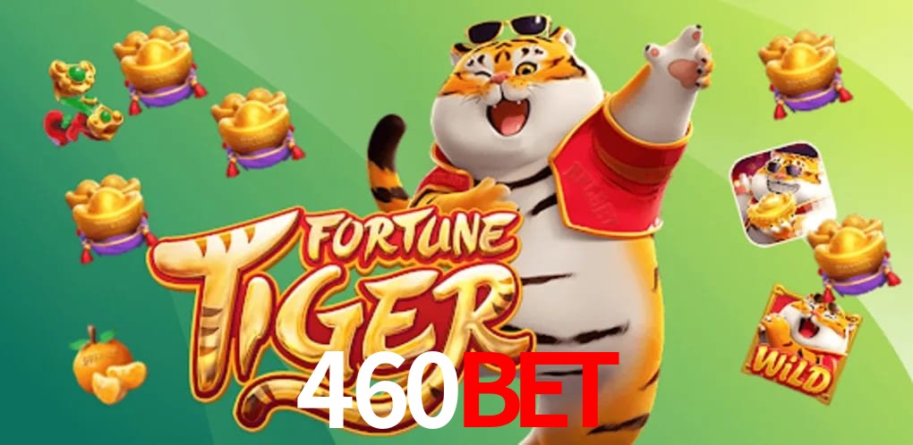 Experiência VIP 460bet